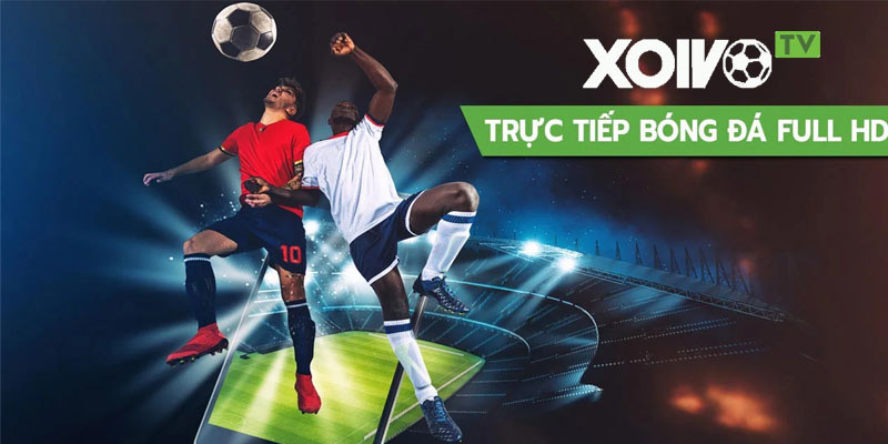 Các giải đấu mà Xoivo TV đang trực tiếp