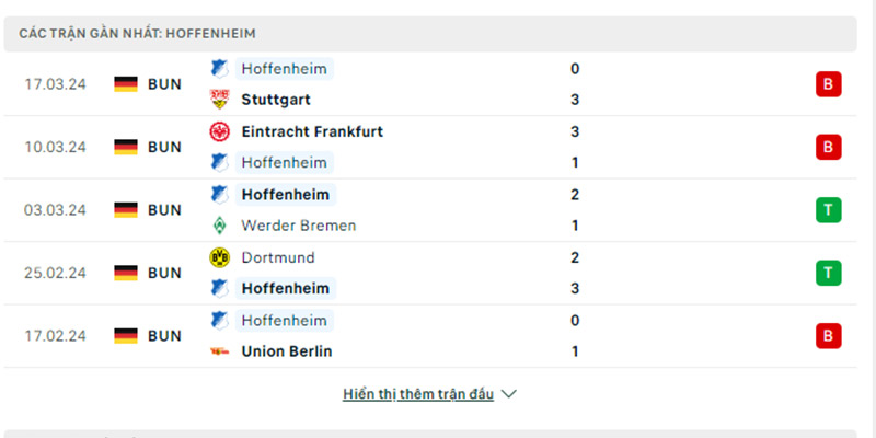 Các trận gần đây của Hoffenheim