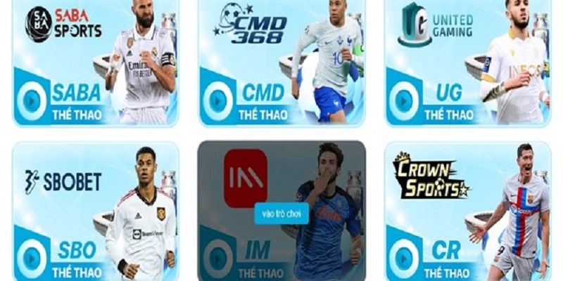 Cá cược thể thao online tại Hi88 với đa dạng sảnh game khác nhau